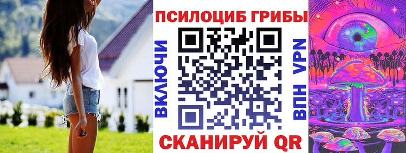 даркнет сайт Кимовск Галлюциногенные грибы MAGIC MUSHROOMS